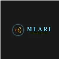 Meari LLC