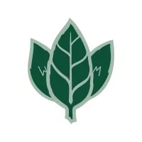 Wildmint Media