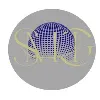 Seaside Management Group ltd