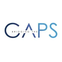 BRIDGING THE GAPS