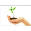 Cap Mantra Wealth Consultant Pvt Ltd Cap Mantra Wealth Consultant Pvt Ltd