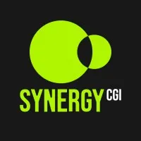 SYNERGY CGI LLC