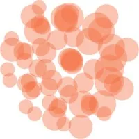 MedEdNow, LLC