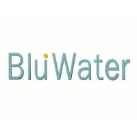 BluWater Consulting