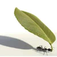 183 Degrees Strategic Solutions