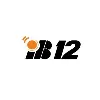 iB12 iB12