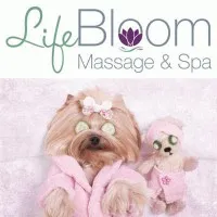 LifeBloom Massage & Spa