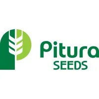 Pitura Seeds