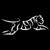 Tigeraire, Inc. Tigeraire, Inc.