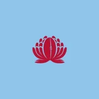 NSW Waratahs