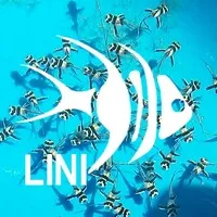 LINI Foundation