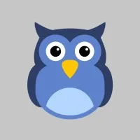 Scale Owl Digital Marketing