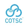 Cold Sky Trading Company Co. (COTSC) Cold Sky Trading Company Co. (COTSC)
