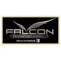 Falcon Transportation LLC