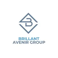 Brillant Avenir Group