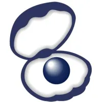 Pearl Management Consulting