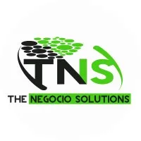 THE NEGOCIO SOLUTIONS