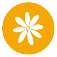 LSA Family Health Service