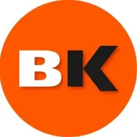 Blinker Professional Components