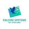 FALCON SYSTEMS IFM FALCON SYSTEMS IFM