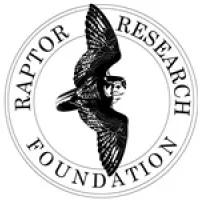 Raptor Research Foundation Raptor Research Foundation