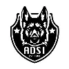 ADSi Software ADSi Software