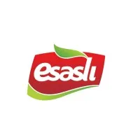 EsaslıGrup email format