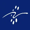 Rays TechServ