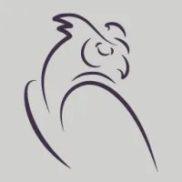 Owlpoint Capital Management