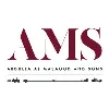 Abdulla Al Masaood and Sons Group (AMS Group) Abdulla Al Masaood and Sons Group (AMS Group)