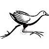 Rallidae Therapeutics
