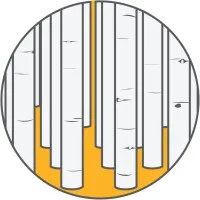 Trembling Giant Marketing, LLC