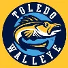 Toledo Walleye Toledo Walleye