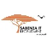 DCV Sabenza IT DCV Sabenza IT