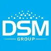 DSM Group DSM Group