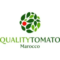 Quality Tomato Morocco Quality Tomato Morocco