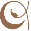 Alpha Supported Living Services Alpha Supported Living Services