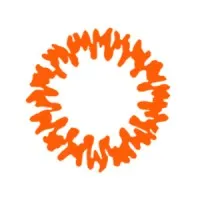 Gas Economico Metropolitano