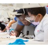 UMB CURE Scholars Program