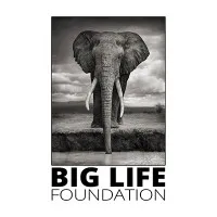 Big Life Foundation Big Life Foundation