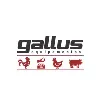 Gallus Equipamentos Gallus Equipamentos
