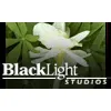 BlackLight Studios BlackLight Studios