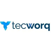 TECWORQ INFORMATION TECHNOLOGY LLC