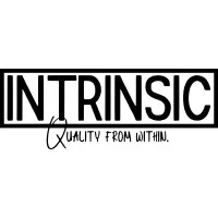 Intrinsic Solutions LLC