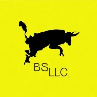 BS LLC | Branding, Strategy, & Marketing Agency