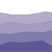 Steelray Software