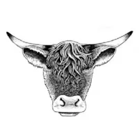 Salt & Char Steakhouse Salt & Char Steakhouse