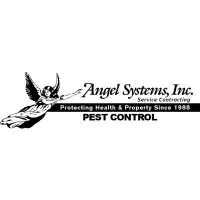 Angel Systems Inc