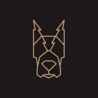 Power Search and Consulting