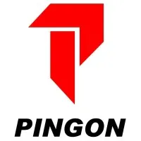 Pingon Elevadores e Gruas Ltda